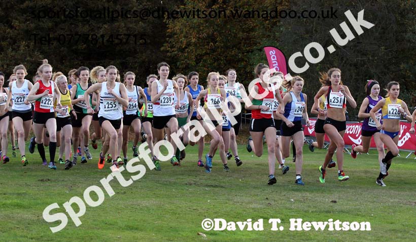 Start of the junior womens  National Cross Country Relays. Photo: David T. Hewitson/Sports for All Pics